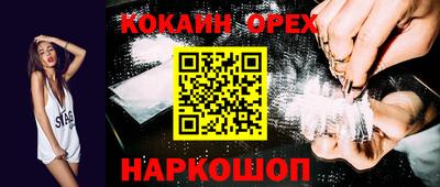 индика Гатчина