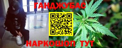 прущие грибы Гагарин