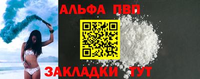 индика Гатчина