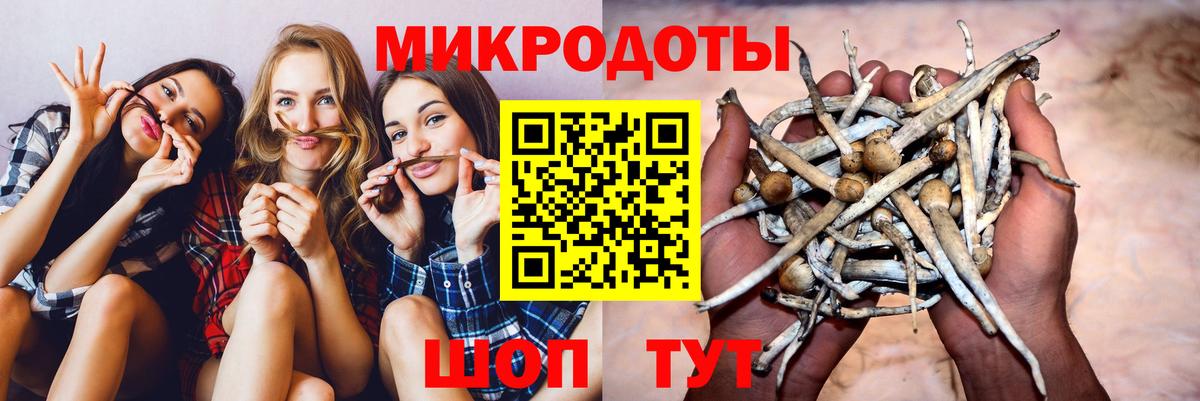 Галлюциногенные грибы GOLDEN TEACHER Ивантеевка